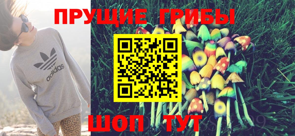 Псилоцибиновые грибы Psilocybe Богданович