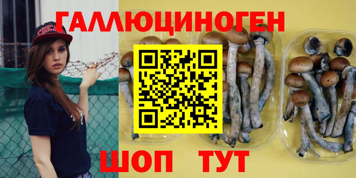 Псилоцибиновые грибы GOLDEN TEACHER  Вход с VPN  Богданович 